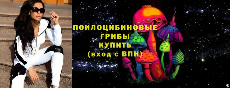 Псилоцибиновые грибы Cubensis  Баксан 